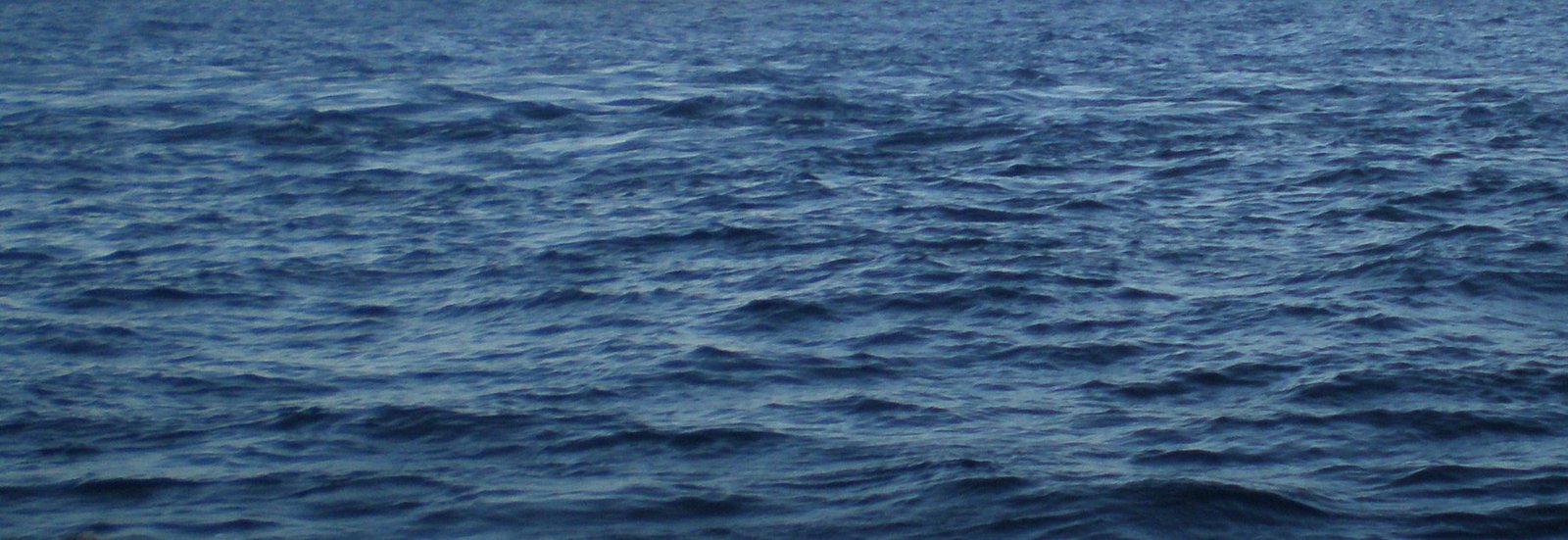 Haquetía in Gibraltar